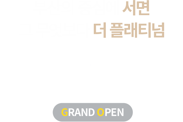 쌍용 더 플래티넘 서면 로고